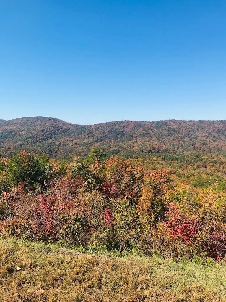 Hiking Trails
